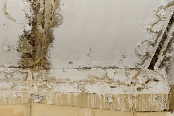 Trusted De Pere, WI Water damage restoration Experts